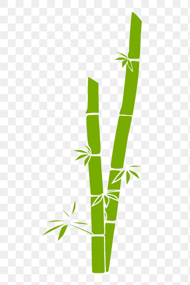 Bamboo tree png sticker, botanical illustration on transparent background. Free public domain CC0 image.