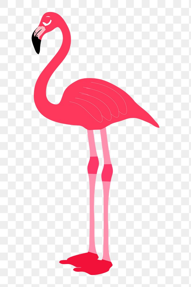 Flamingo png sticker, cute animal illustration, transparent background. Free public domain CC0 image.