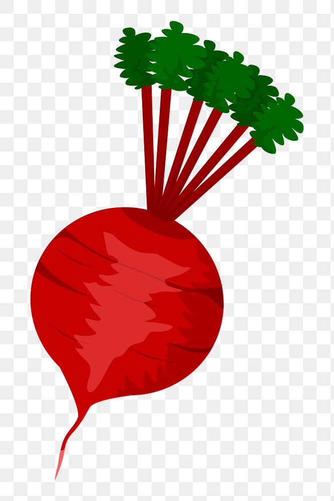 Beetroot png sticker, vegetable illustration, transparent background. Free public domain CC0 image.