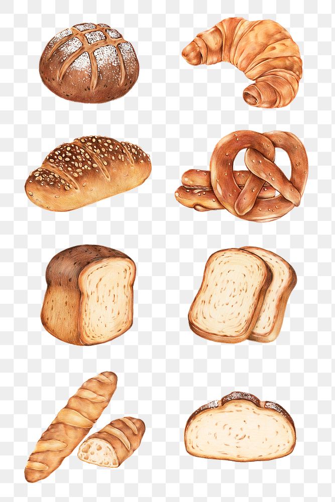 Fresh bread illustration png food drawing set