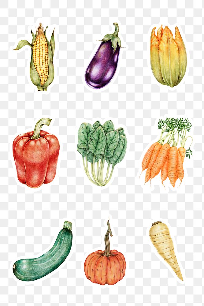 Vegetables sticker png organic botanical illustration set