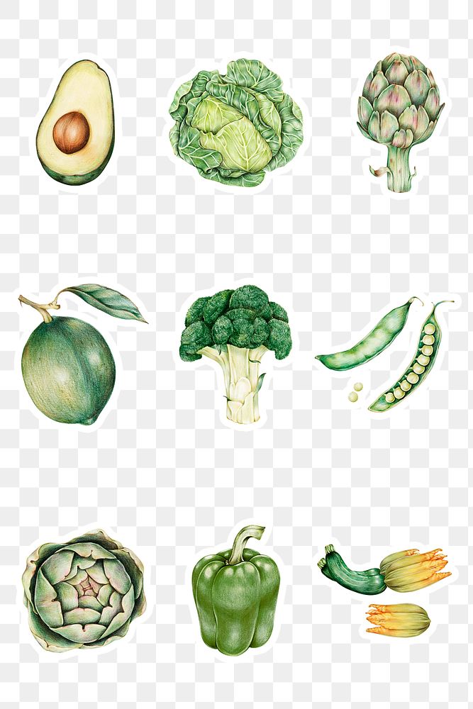 Green vegetables illustration png organic collection