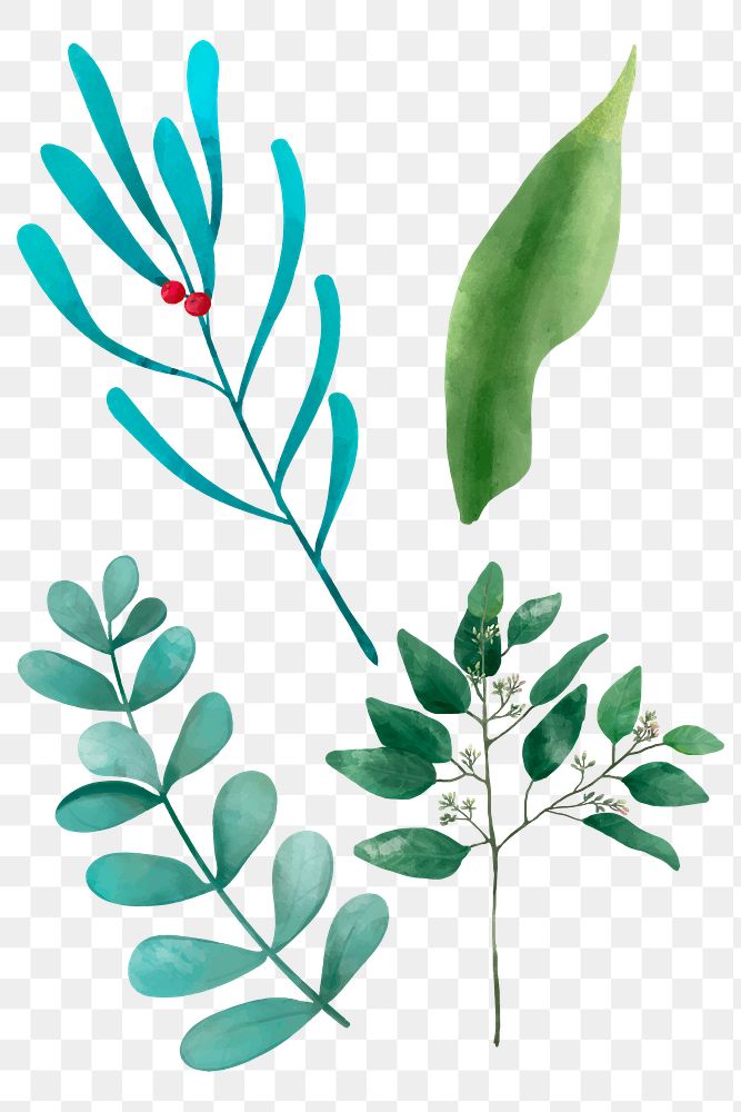 Green leaves sticker png watercolor illustration collection