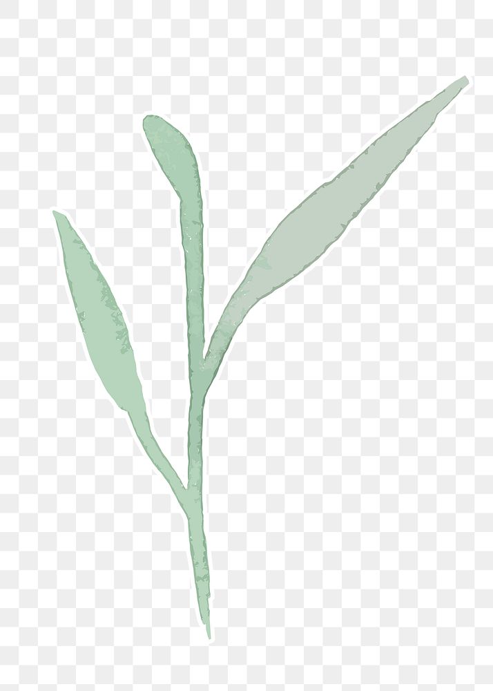 Green plant botanical transparent png watercolor sticker