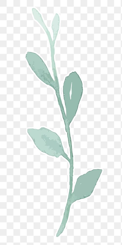 Green plant botanical transparent png watercolor sticker