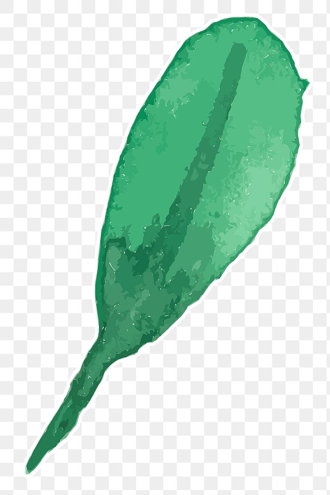 Botanical green leaf transparent png watercolor sticker