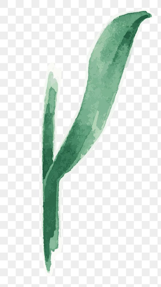 Green plant botanical transparent png hand drawn sticker 