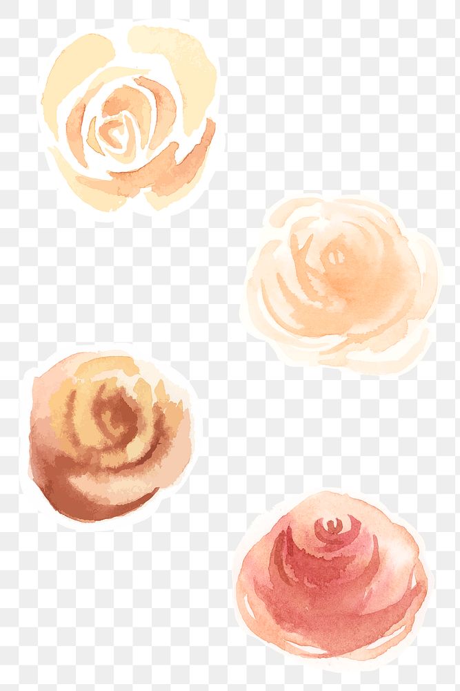 Hand drawn roses png watercolor decorative collection