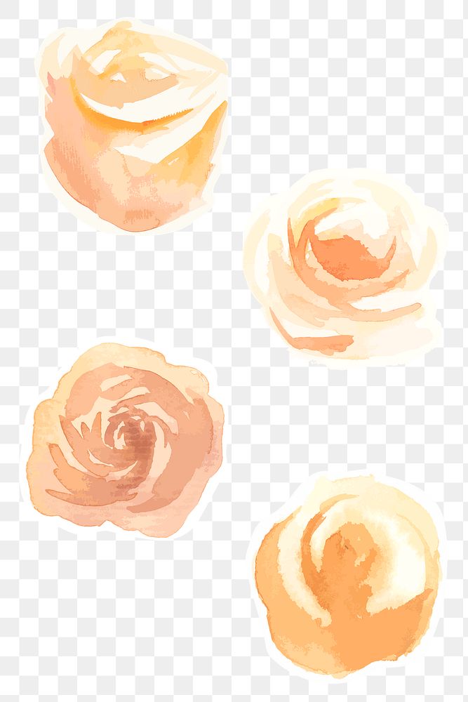 Yellow roses png vintage watercolor sticker collection