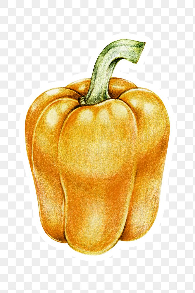 Organic food png yellow bell pepper drawing illustration