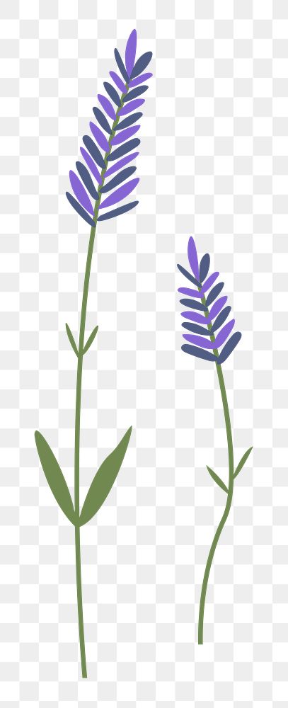 Png lavender flower diary sticker floral illustration