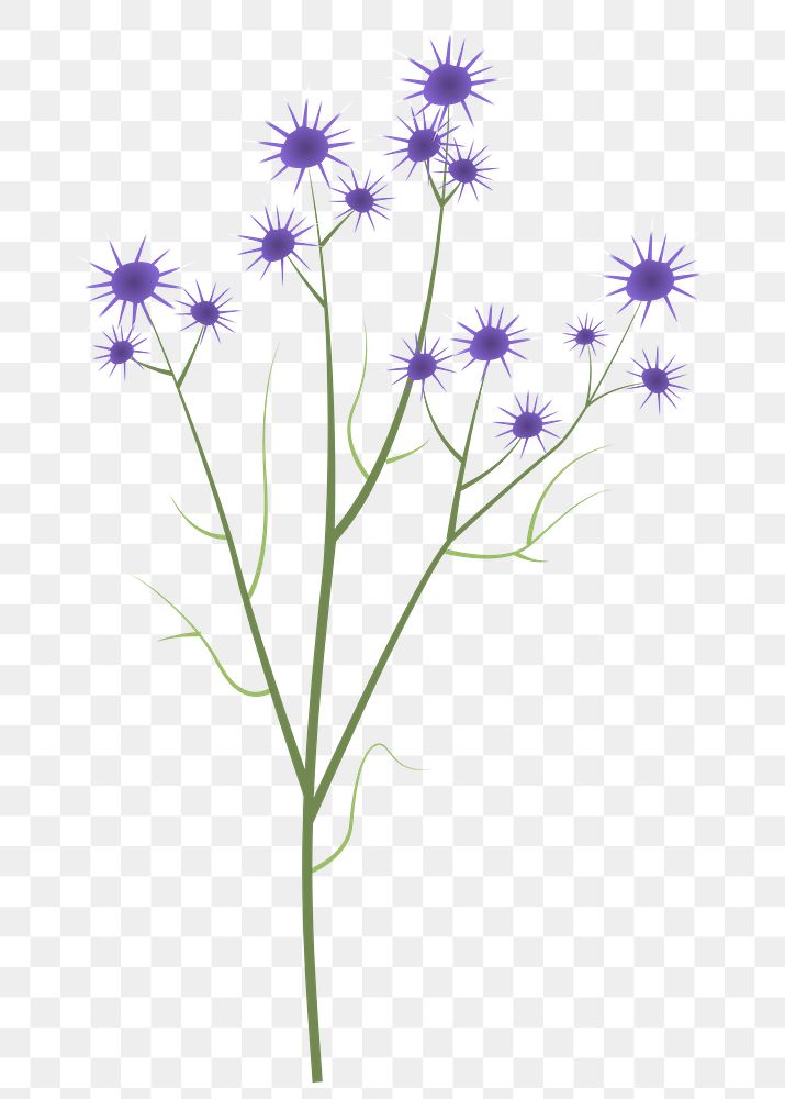 Png cornflower diary sticker floral illustration