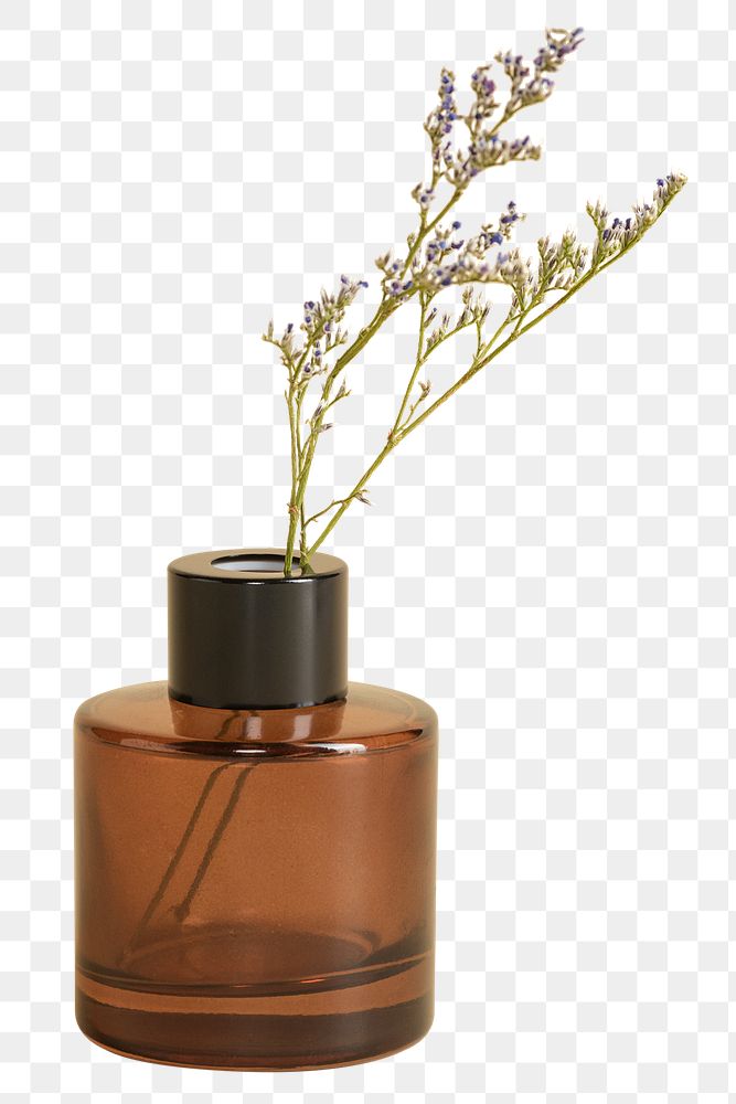 Dried grass flower in a brown bottle design element