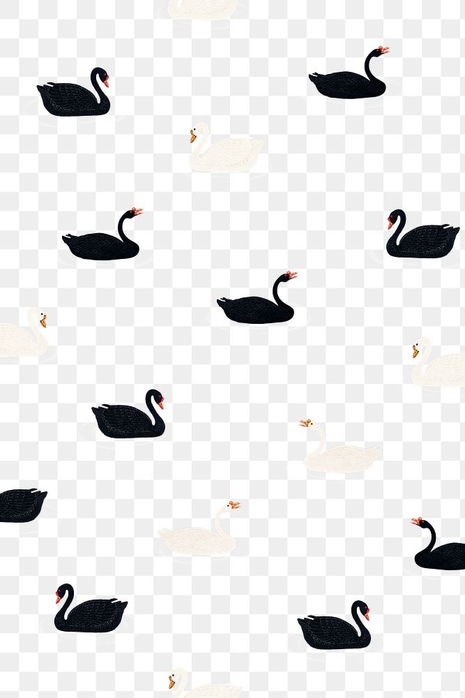 Swimming black and white geese pattern design element illustration