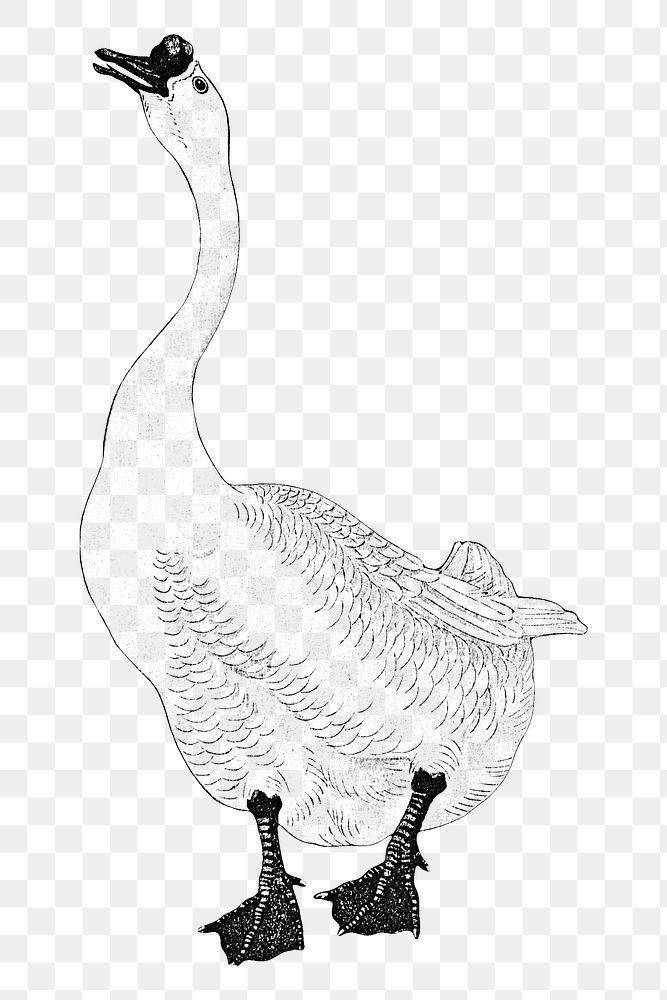 Black goose outline vintage illustration 
