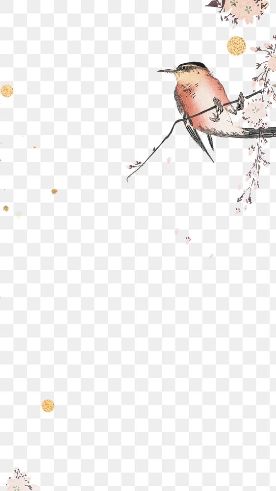 Songbird and cherry blossom flower border design element illustration