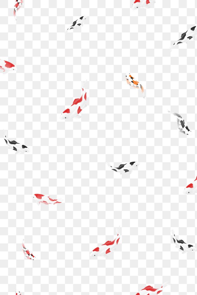 Blue and red koi fish patterned background illustration
