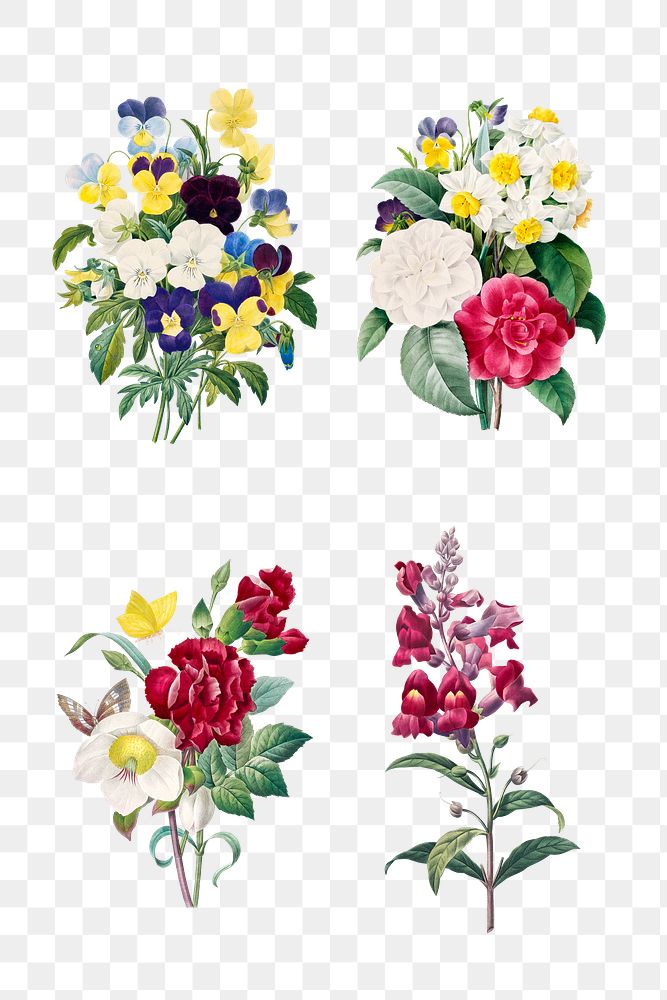 Floral png illustration set, remixed from artworks by Pierre-Joseph Redout&eacute;