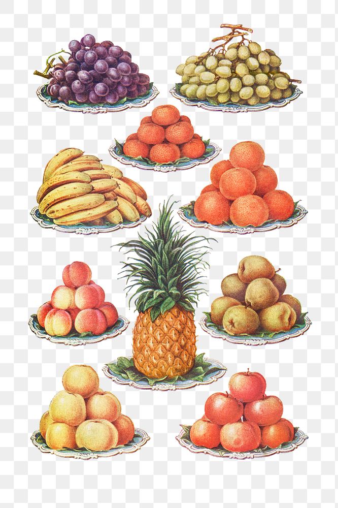 Vintage hand drawn fruit illustrations