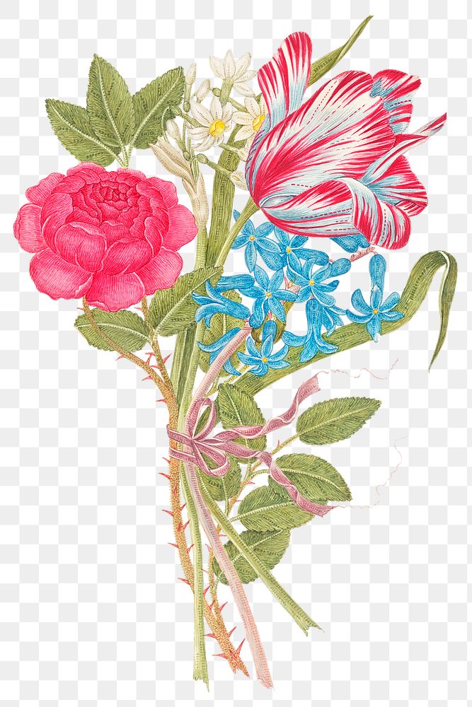 Vintage flowers png illustration, remixed from the 18th-century artworks from the Smithsonian archive.