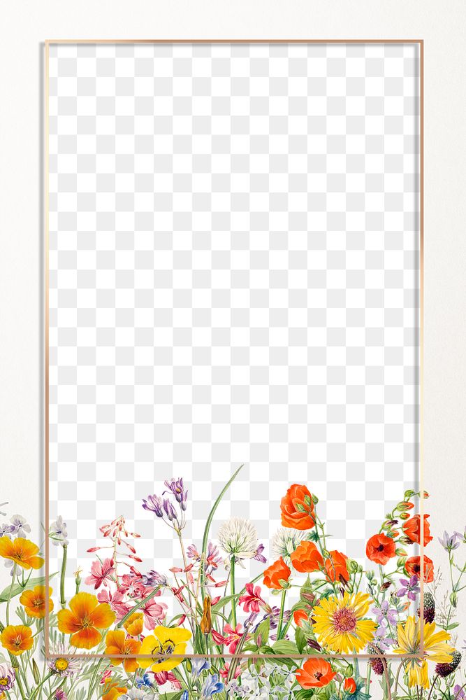 Floral frame png blooming flowers illustration drawing