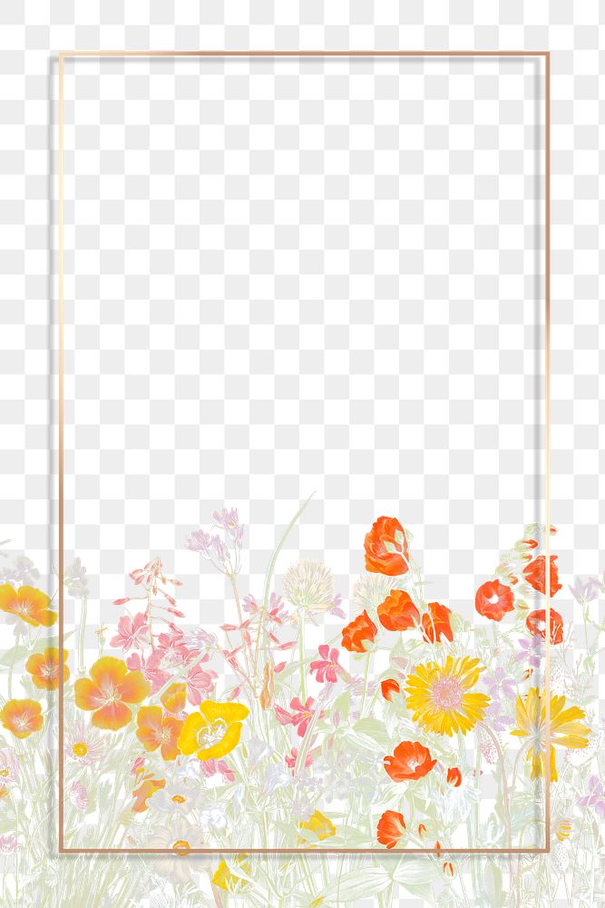 Floral wedding gold frame png illustration