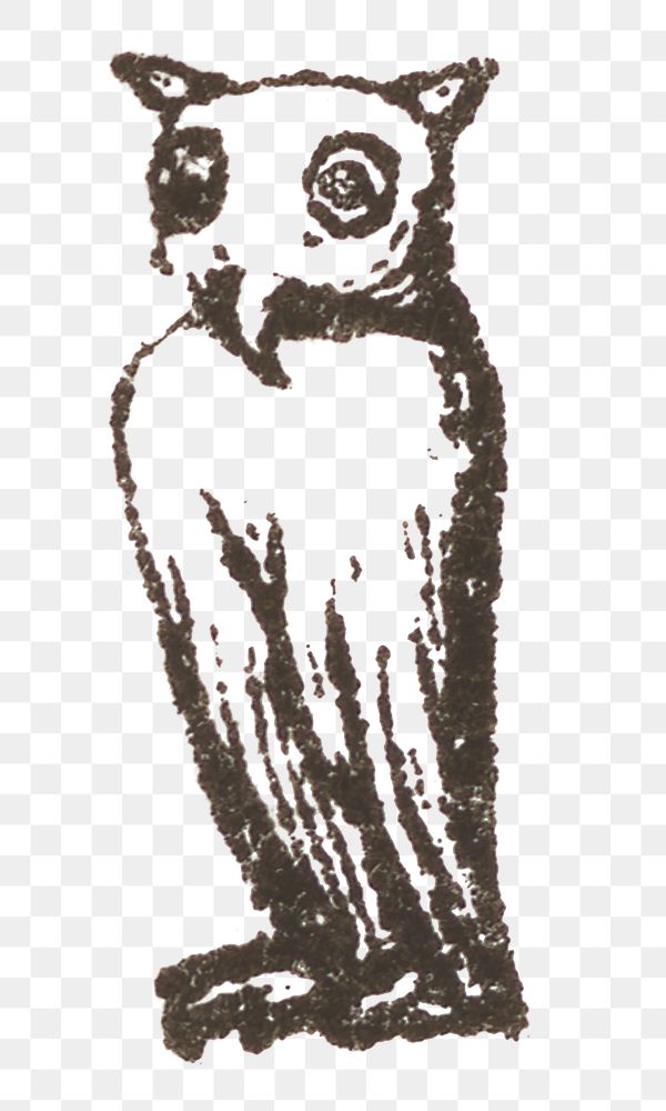 Vintage png owl engraving hand drawn illustration