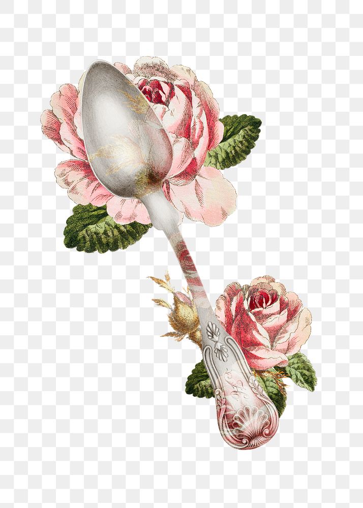Vintage silver spoon png with flower illustration, remixed from public domain collection