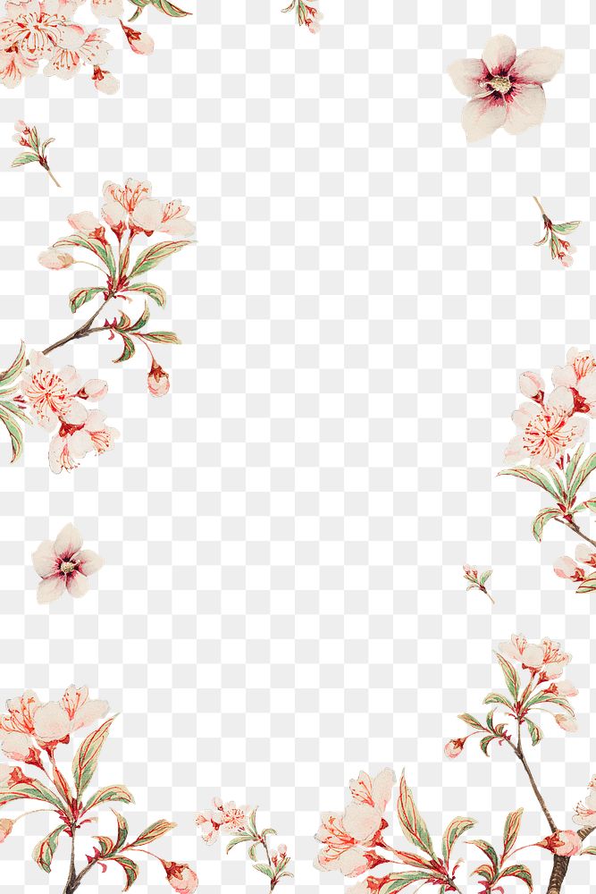 Vintage Japanese png floral frame peach blossoms and hibiscus art print, remix from artworks by Megata Morikaga