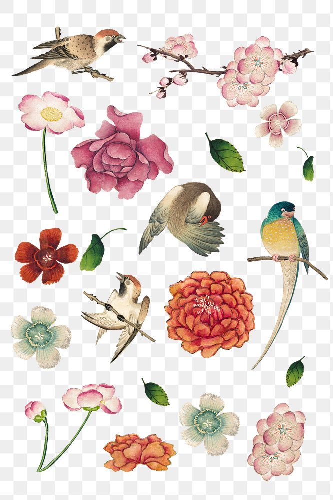 Chinese flower and bird png sticker set, remix from artworks by Zhang Ruoai