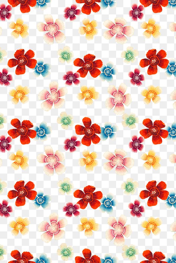 Sweet William png floral pattern  transparent background, remix from artworks by Zhang Ruoai