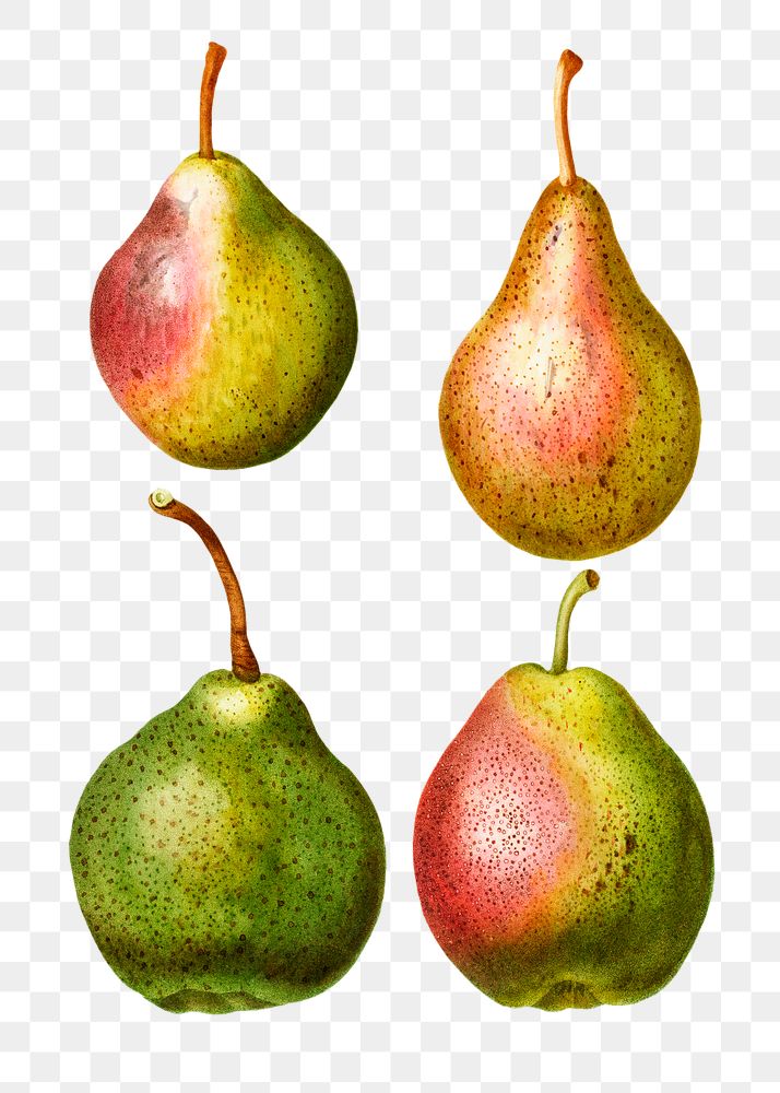 Ripe pear fruits transparent png