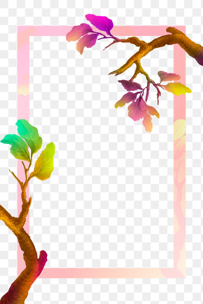 Colorful tree branch and frame transparent png