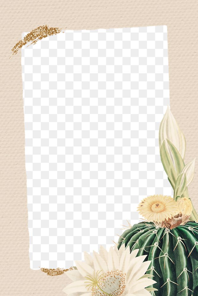 Vintage green cactus with flower frame on paper texture background design element