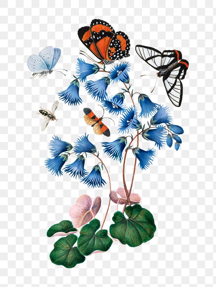 Butterfly, flower png sticker, painting illustration, remixed from artworks by James Bolton