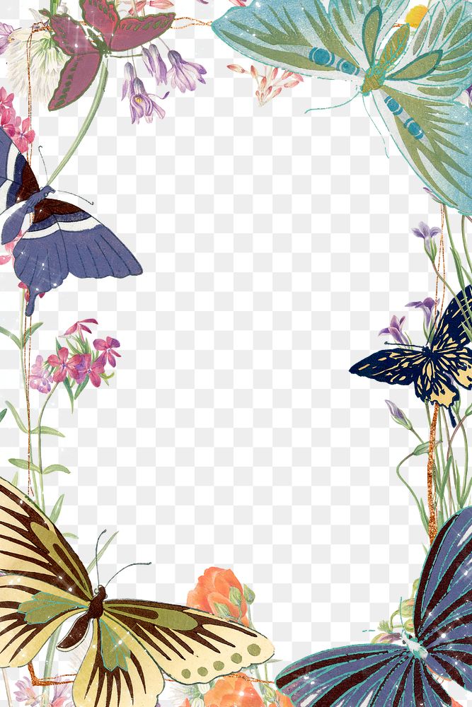 Floral butterfly png frame, colorful vintage illustration