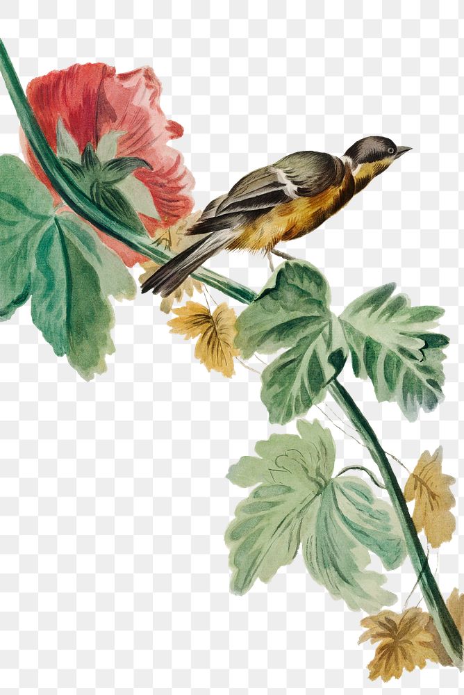 Vintage bird on flower branch png illustration