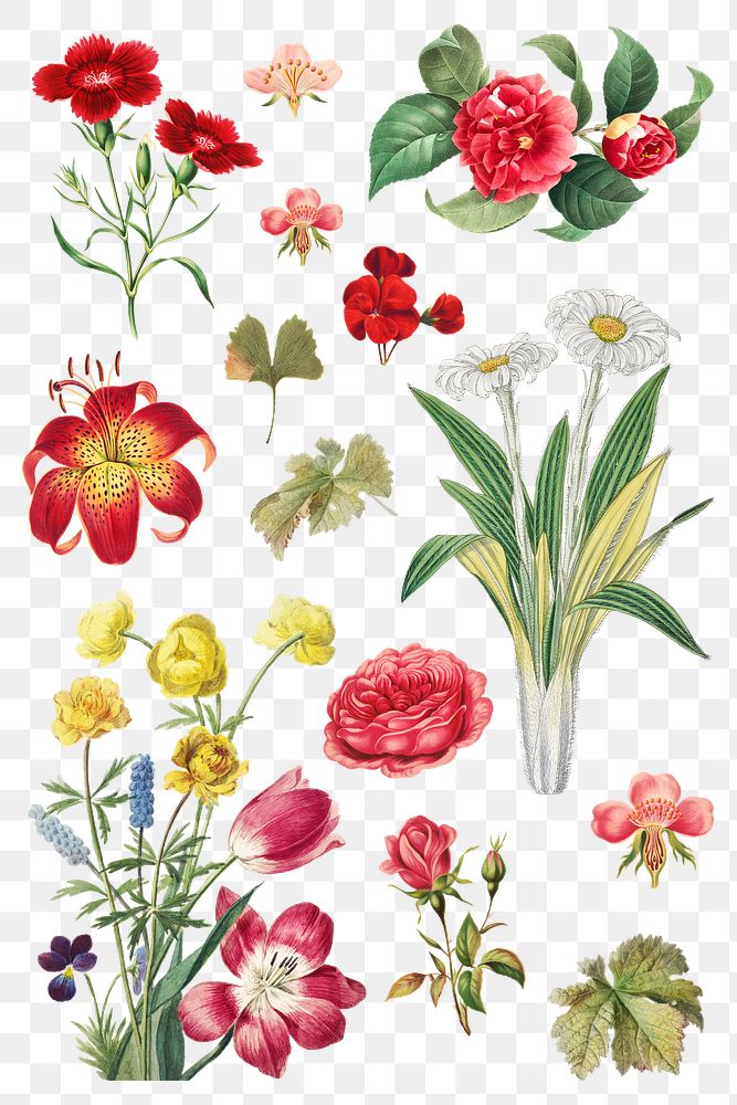 Vintage flower sticker png illustration set