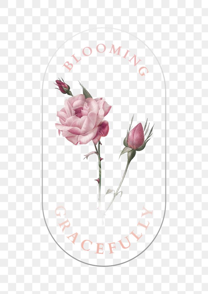 Beautiful hand drawn pink roses badge transparent png