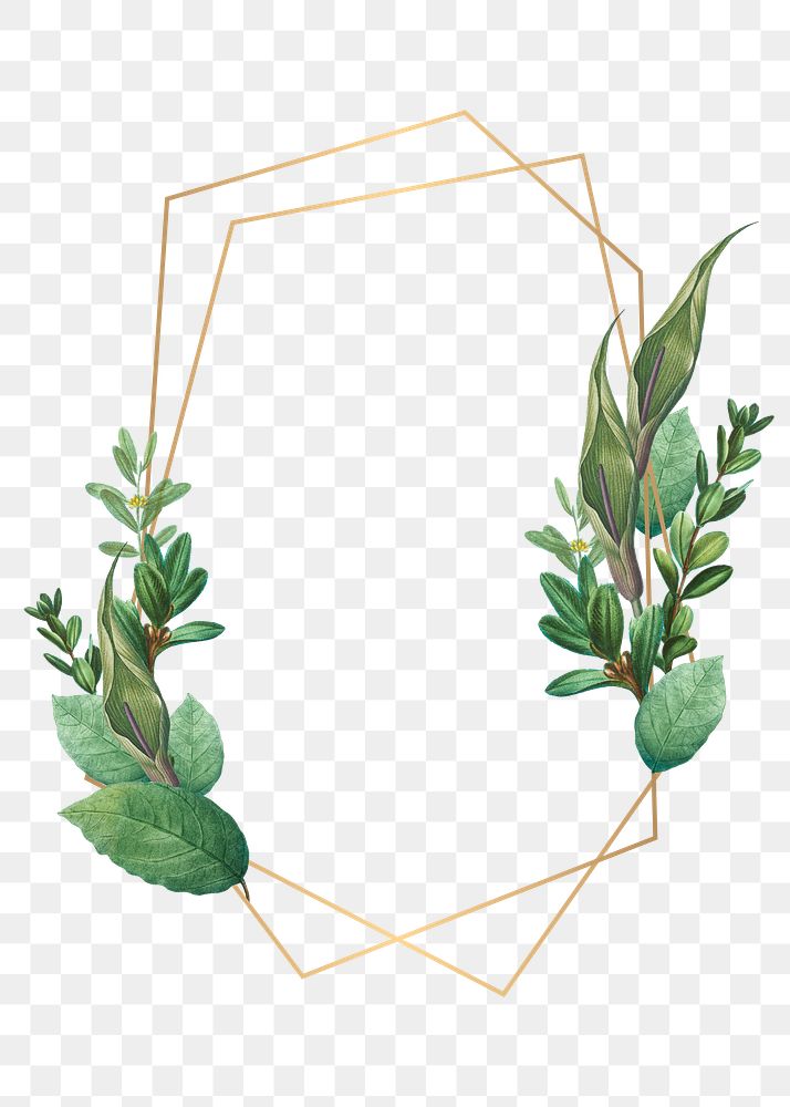 Tropical botanical frame transparent png