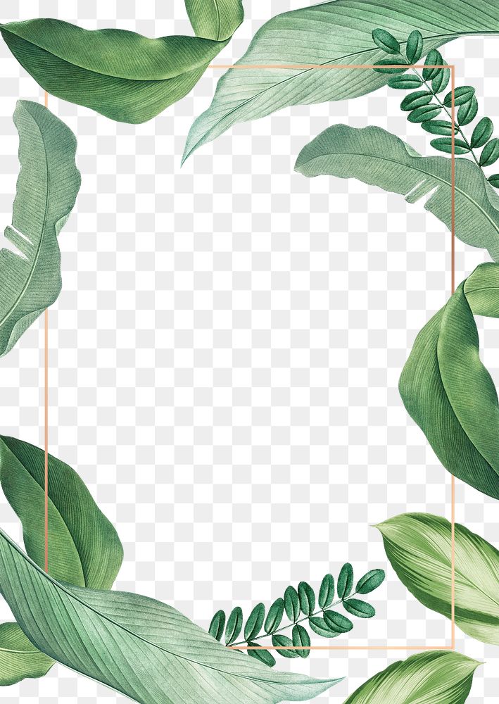Hand drawn tropical leaves white poster transparent png