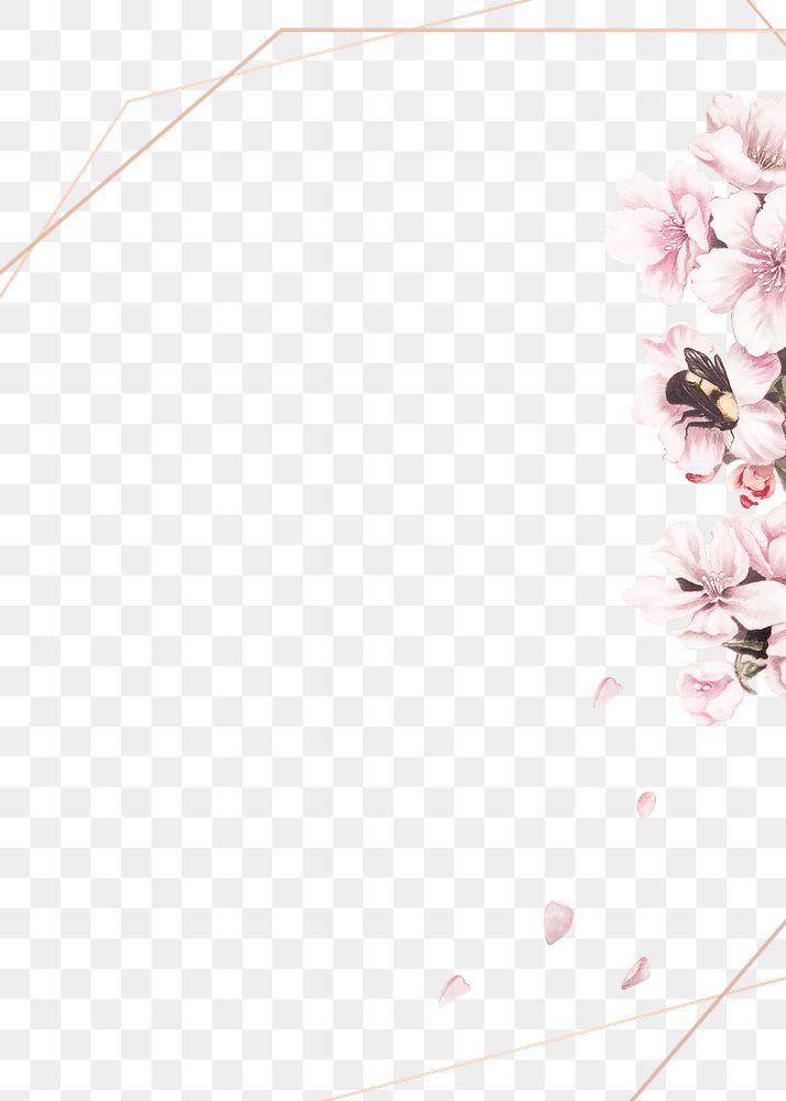 Pink cherry blossom flower bouquet border frame on transparent background