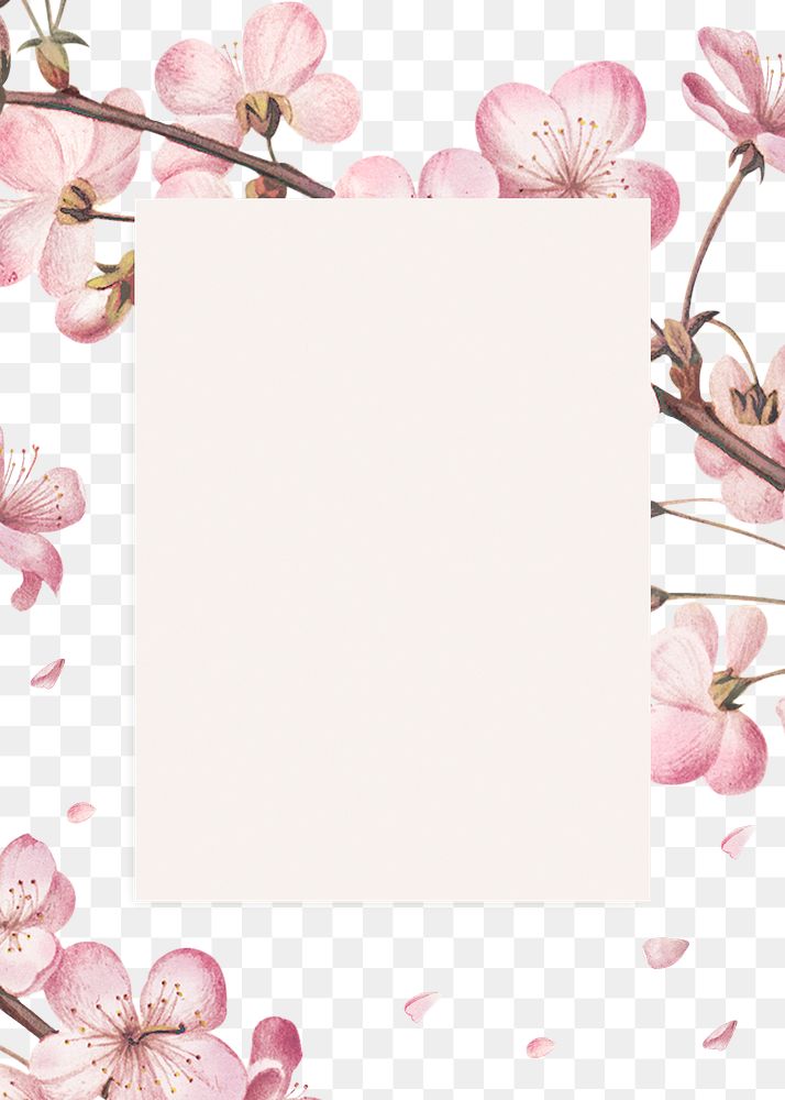 Rectangular pink cherry blossom flower bouquet border frame on transparent background