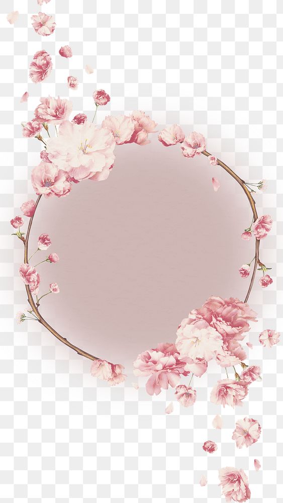 Round pink cherry blossom flower bouquet border frame on transparent background