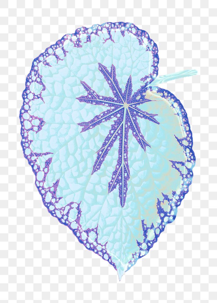 Blue leaf png sticker, aesthetic nature illustration on transparent background