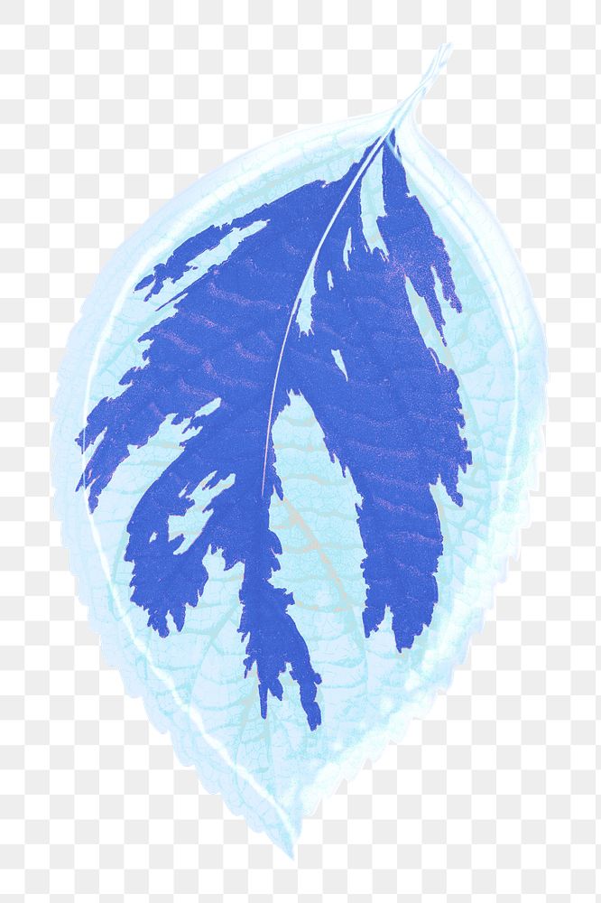 Blue leaf png sticker, aesthetic nature illustration on transparent background