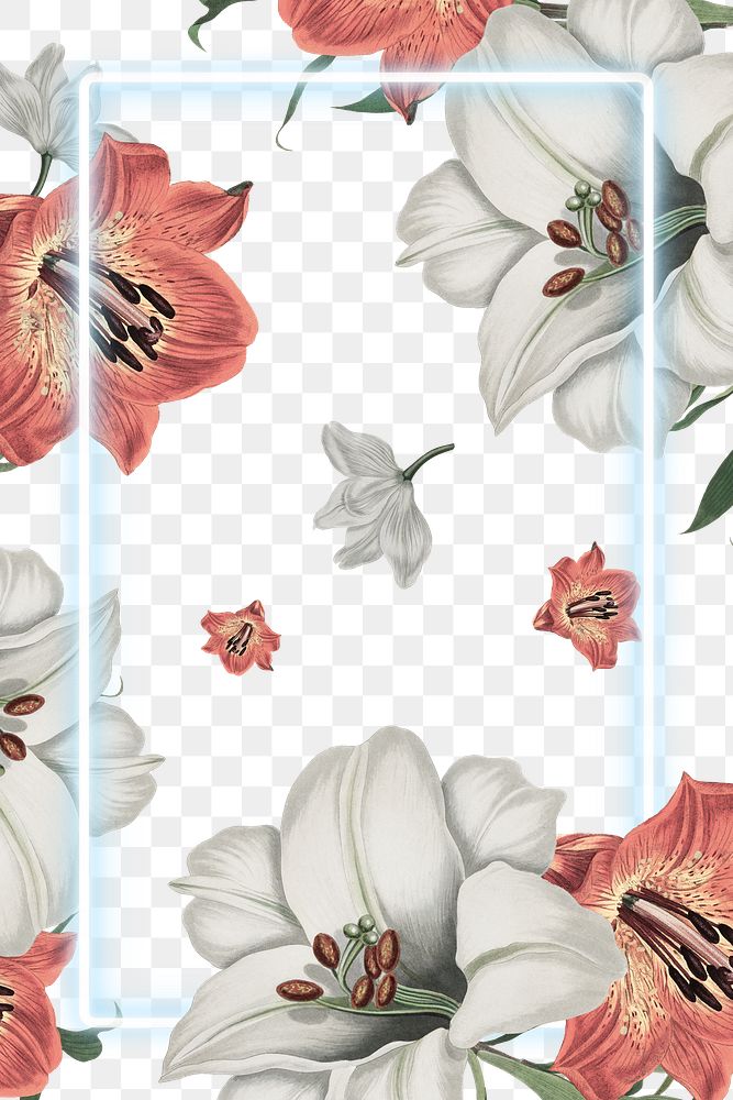 White neon frame on vintage white and orange lily flowers frame design element