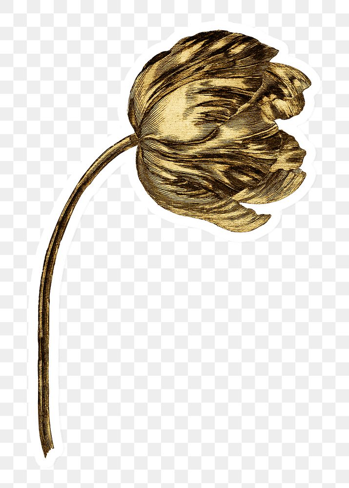 Vintage gold tulip flower sticker with white border