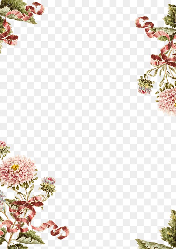 Vintage china aster flower with ribbon frame design element