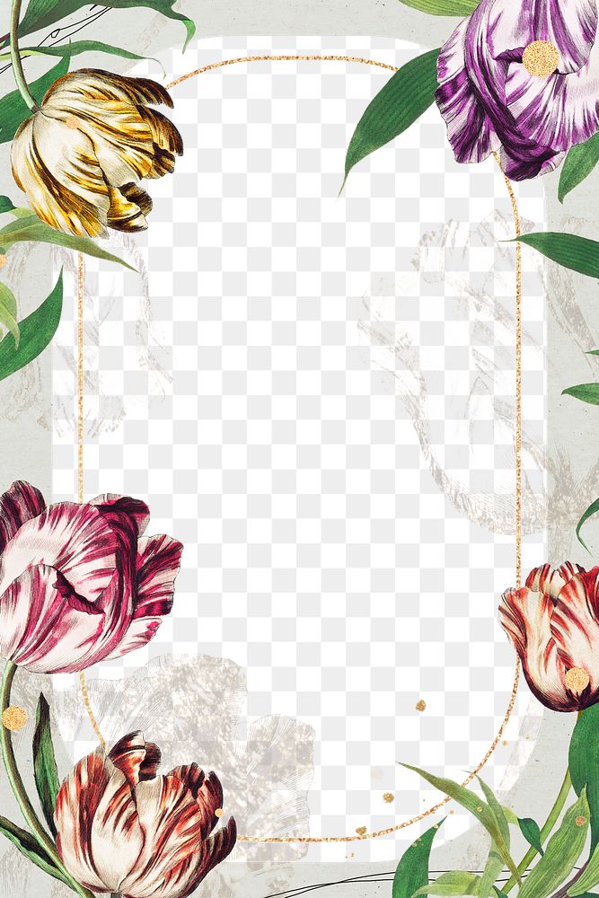 Vintage tulip flower frame design | Premium PNG - rawpixel